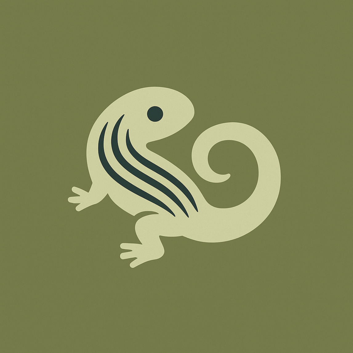 Qiima - Application de bons plans au Maroc