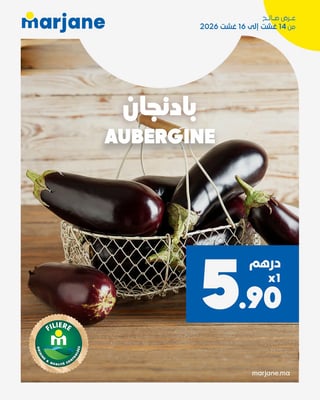 Aubergines filière Marjane