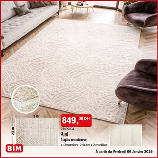 Tapis moderne