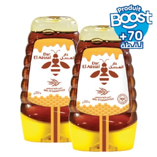 Pack de 2 miel Eucalyptus Dar El Assal squeezer 250g