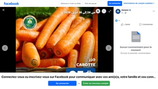 Carotte Marjane 5,90 DH/kg - Filière Qualité
