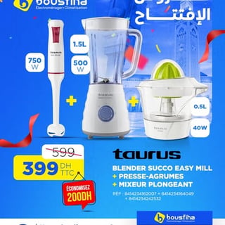 Blender SUCCO EASY MILL + PRESSE-AGRUMES + MIXEUR PLONGEANT