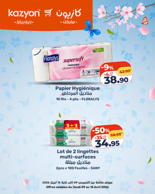 Sany Lot de 2 Lingettes Multi-Surfaces 2x100 Feuilles Kazyon - 50% Off