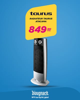 Radiateur Taurus Atacama