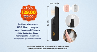 Brûleur d'encens USB électronique avec brosse diffuseur