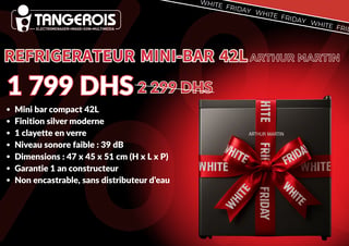 Réfrigérateur Mini-Bar 42L Arthur Martin